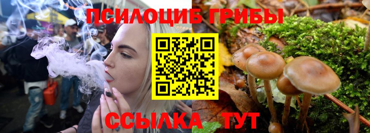 купить закладку  Вход с VPN  Альметьевск  Галлюциногенные грибы GOLDEN TEACHER 
